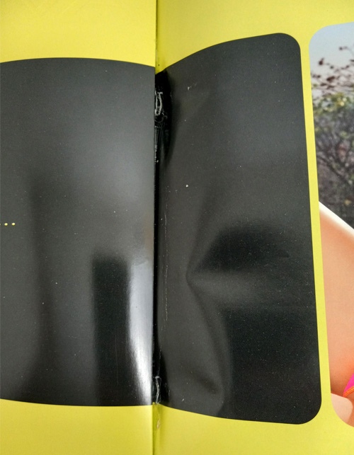 RARE Leg Avenue 2005 Vintage Catalog